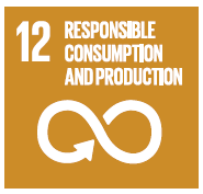 12-responsible-consumption-and-production