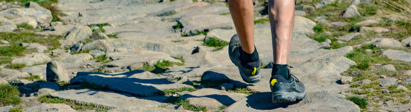 T250 insoles providing superior moisture absorption for foot comfort