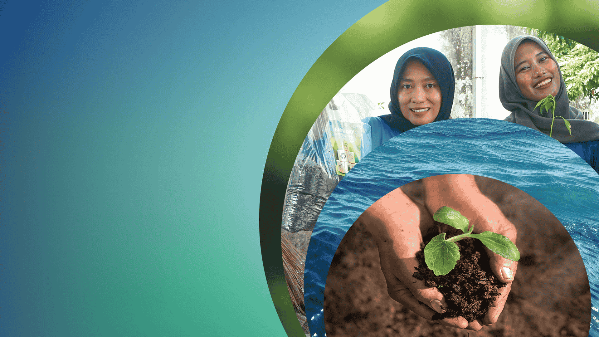 Sustainability Overview