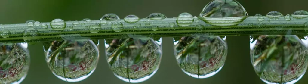 responsibility-landing